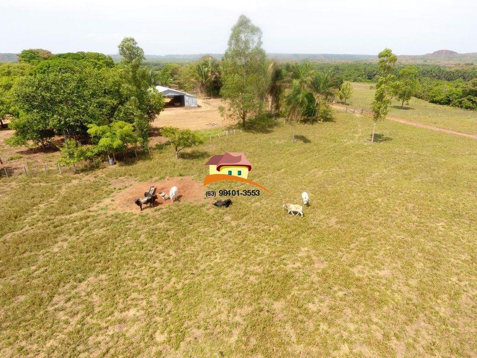 Fazenda, 1 m² - Foto 37