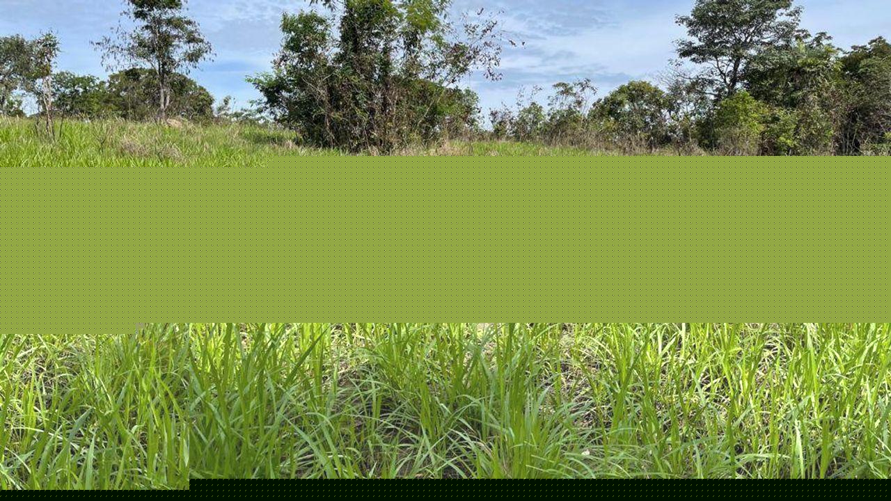 Fazenda, 1 m² - Foto 6