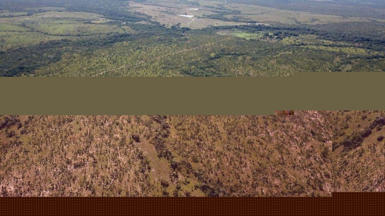 Fazenda, 1 m² - Foto 11