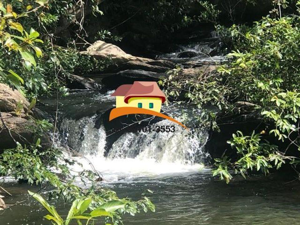 Fazenda, 1 m² - Foto 1