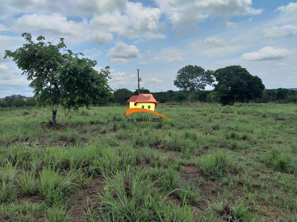 Fazenda, 164 hectares - Foto 7