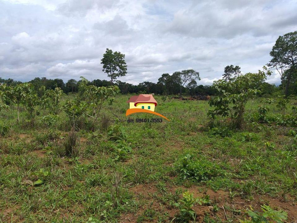 Fazenda, 164 hectares - Foto 6