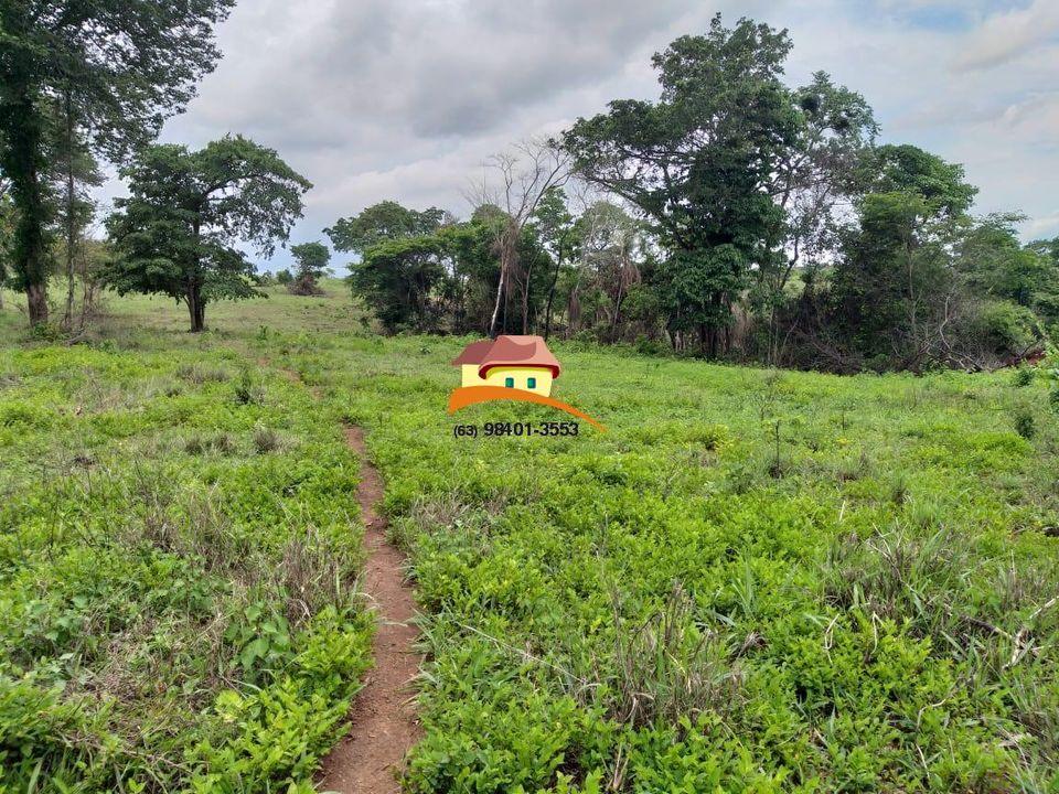 Fazenda, 164 hectares - Foto 8