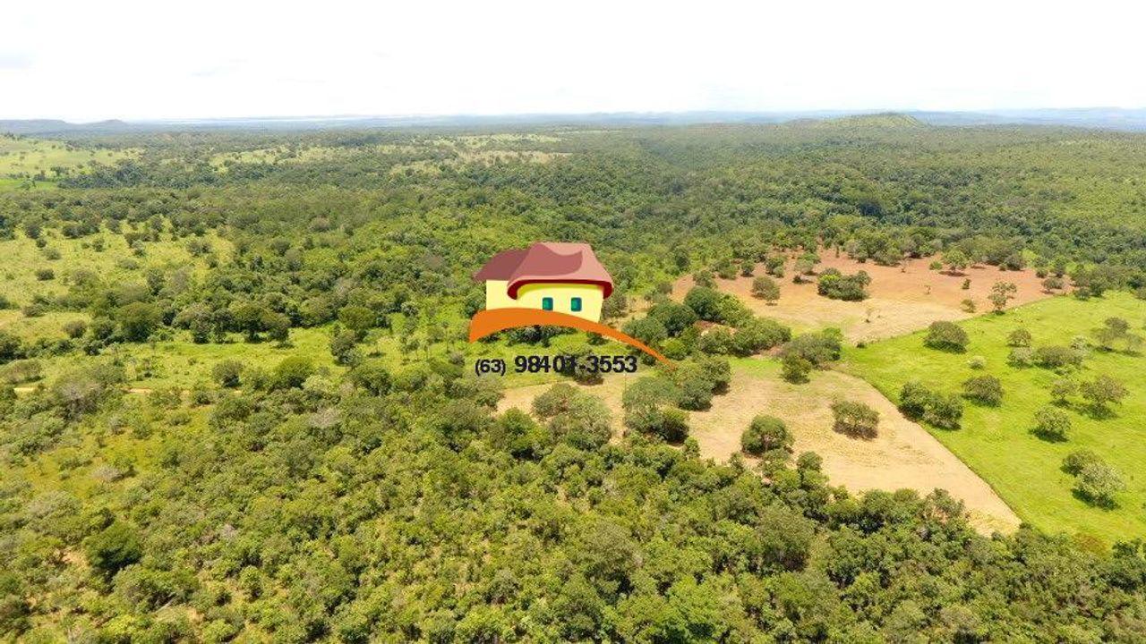 Fazenda, 164 hectares - Foto 9