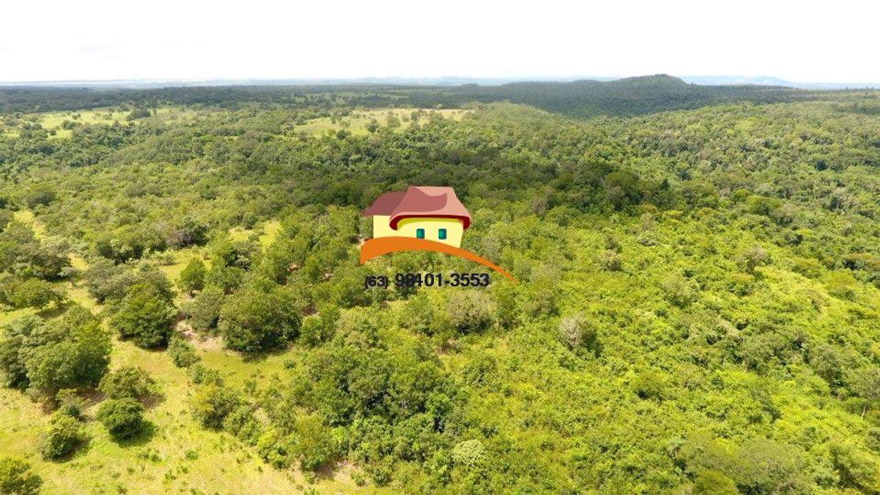 Fazenda, 164 hectares - Foto 14