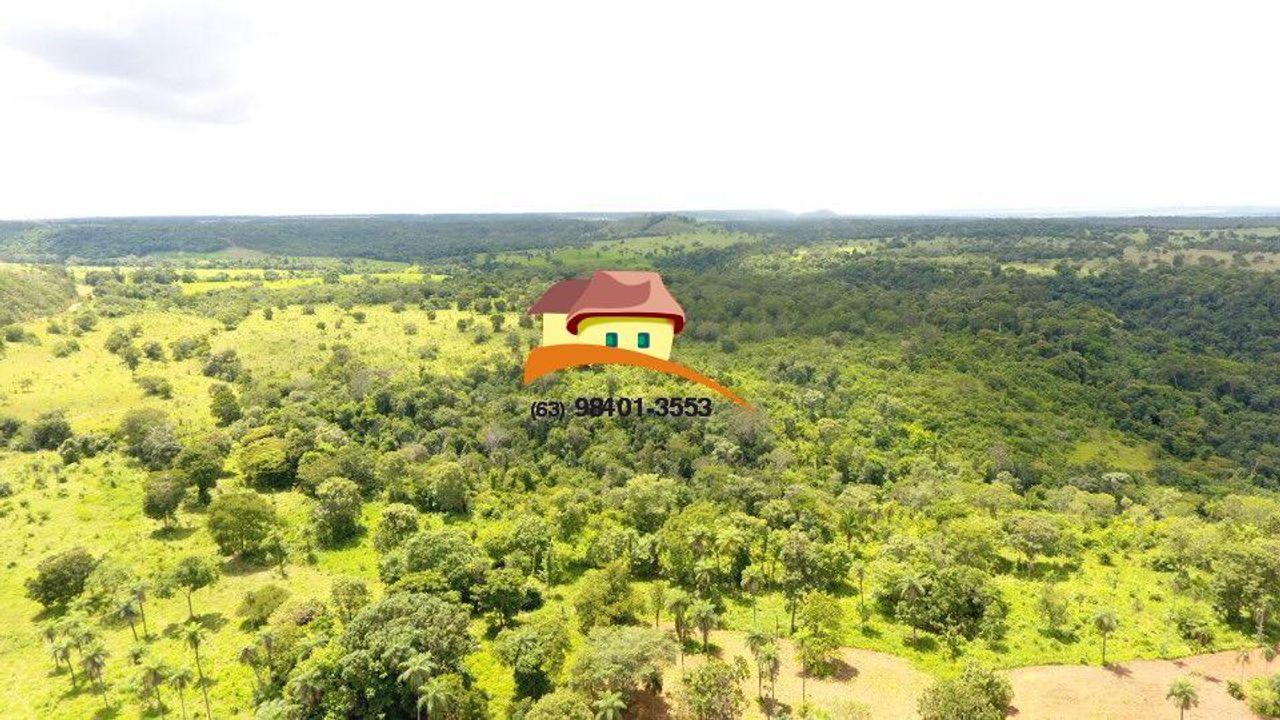 Fazenda, 164 hectares - Foto 13