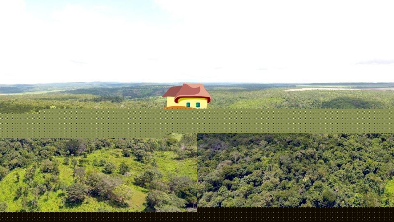 Fazenda, 164 hectares - Foto 15