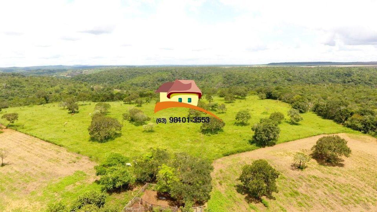 Fazenda, 164 hectares - Foto 19