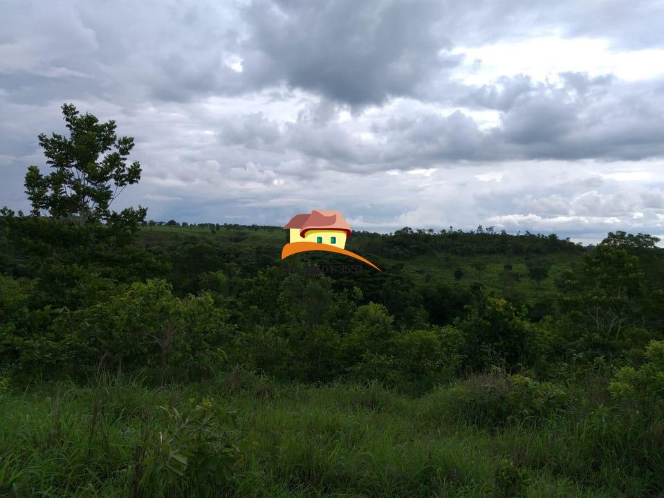 Fazenda, 164 hectares - Foto 25