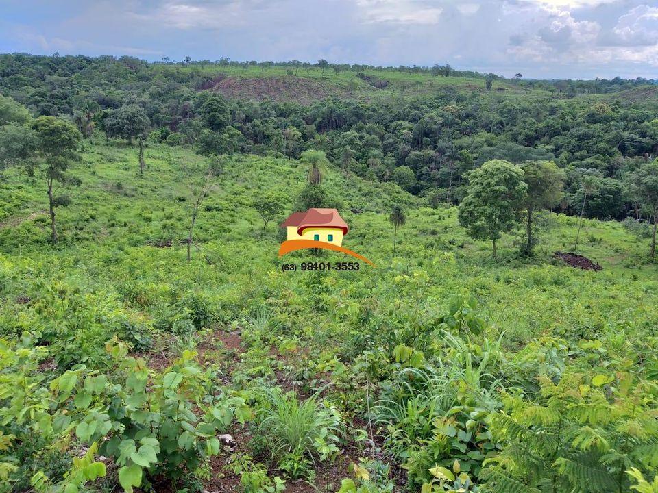 Fazenda, 164 hectares - Foto 26