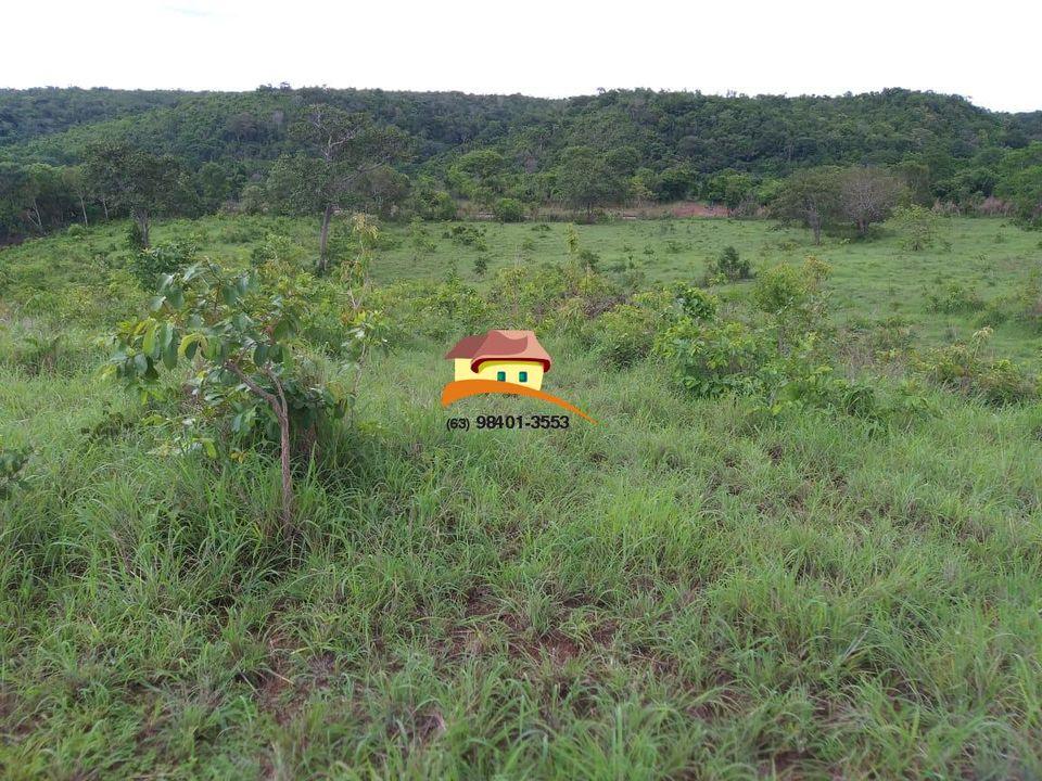 Fazenda, 164 hectares - Foto 28