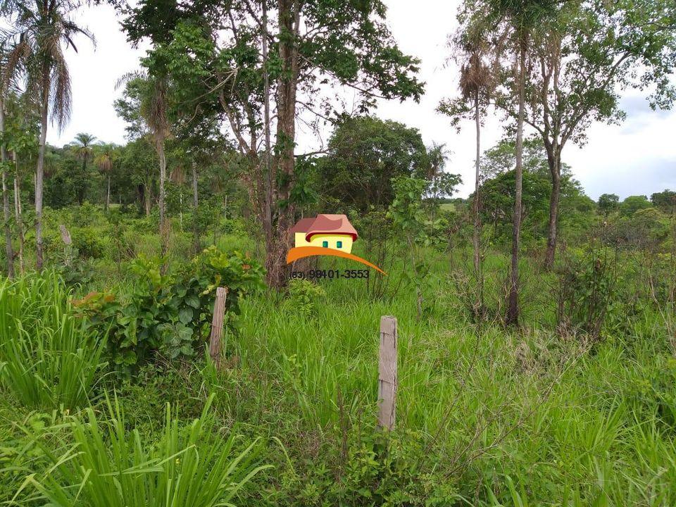 Fazenda, 164 hectares - Foto 30