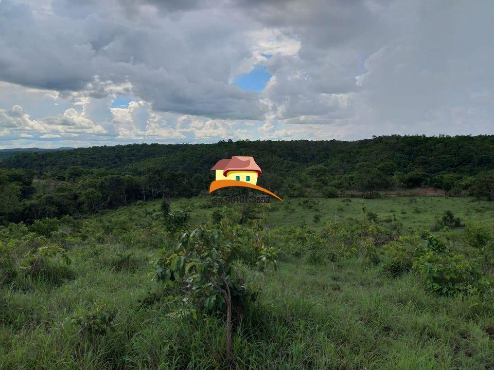 Fazenda, 164 hectares - Foto 29