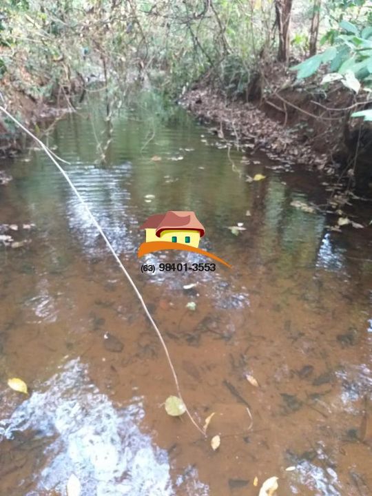 Fazenda, 164 hectares - Foto 31