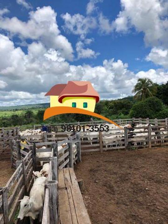 Fazenda, 1 m² - Foto 15
