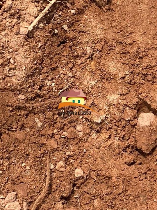 Fazenda, 4060 m² - Foto 2