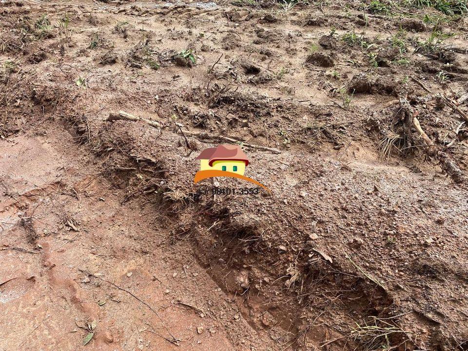 Fazenda, 4060 m² - Foto 7