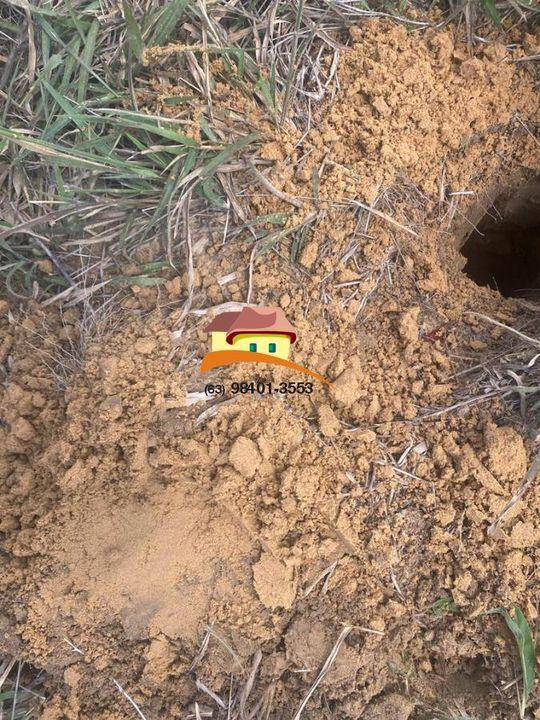 Fazenda, 4060 m² - Foto 11