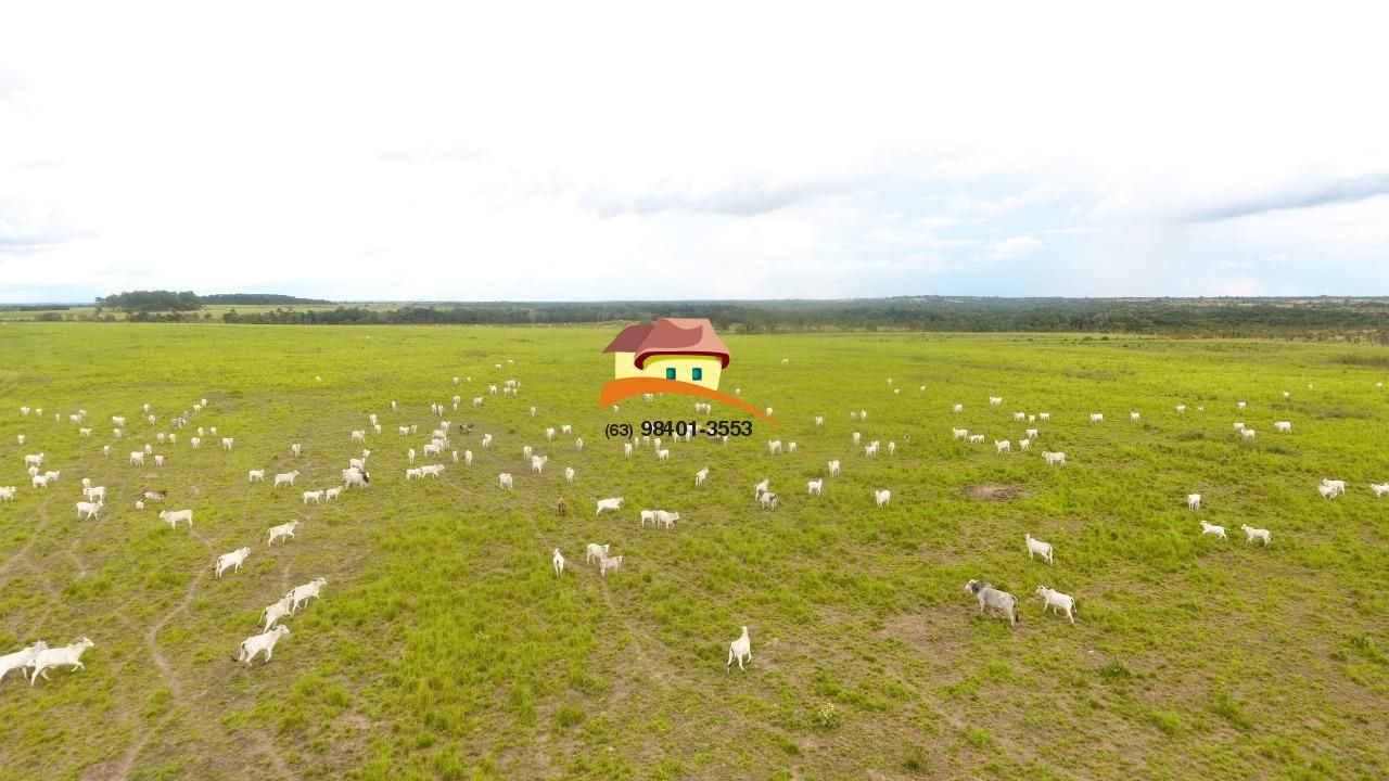 Fazenda, 4060 m² - Foto 21