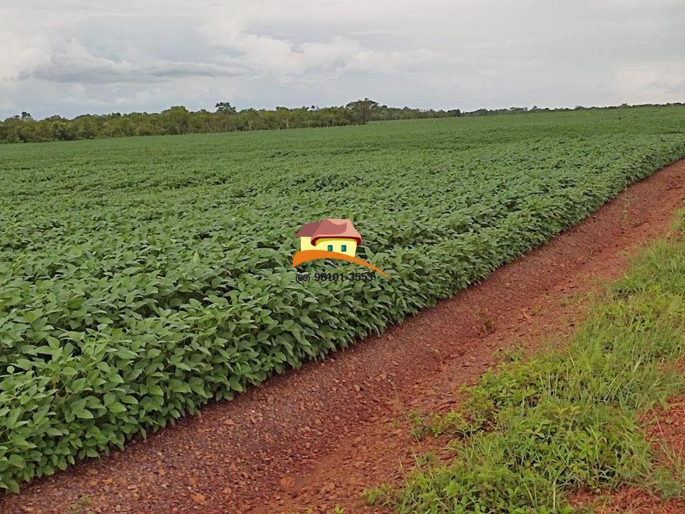 Fazenda, 1 m² - Foto 2