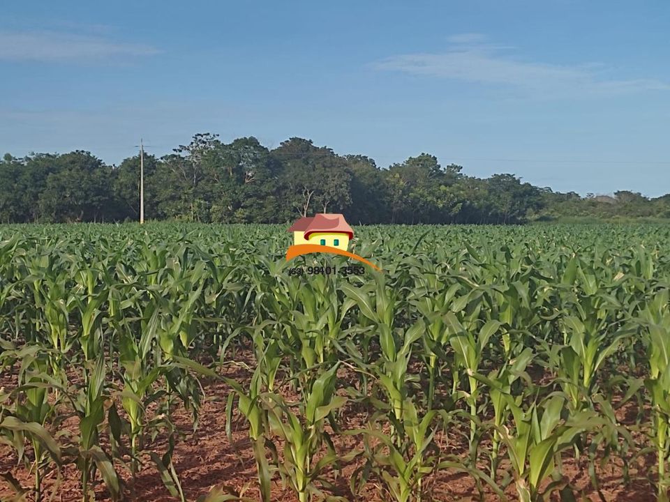 Fazenda, 1 m² - Foto 6