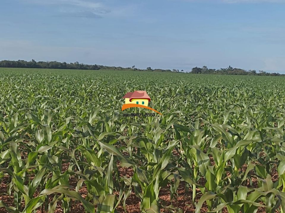 Fazenda, 1 m² - Foto 39