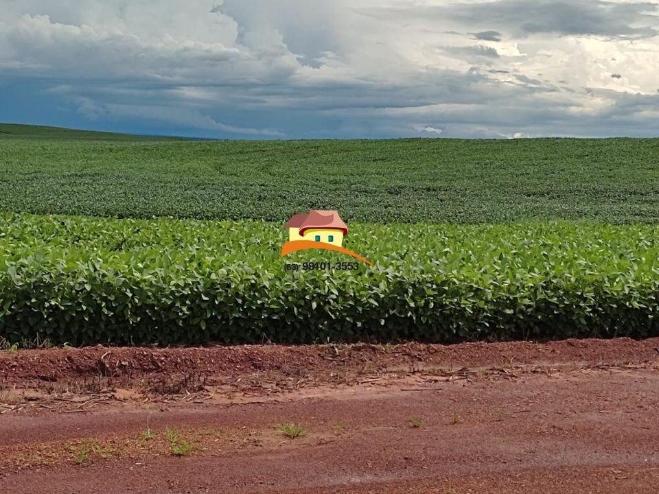 Fazenda, 1 m² - Foto 10