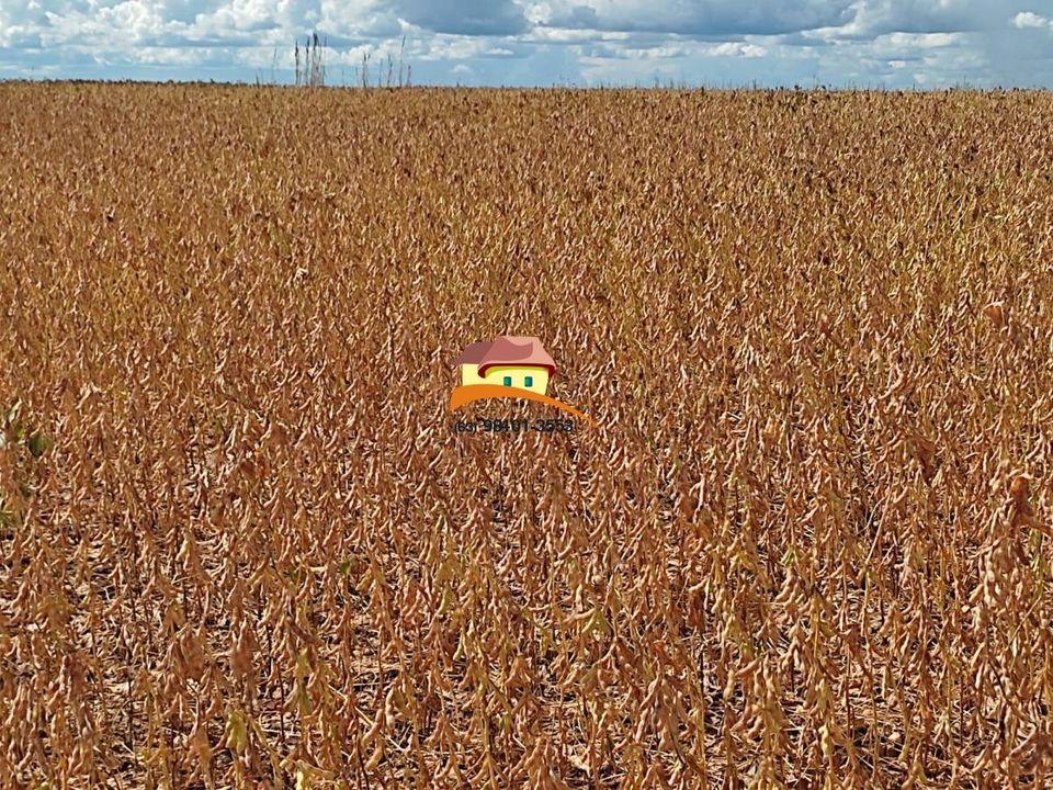 Fazenda, 1 m² - Foto 12