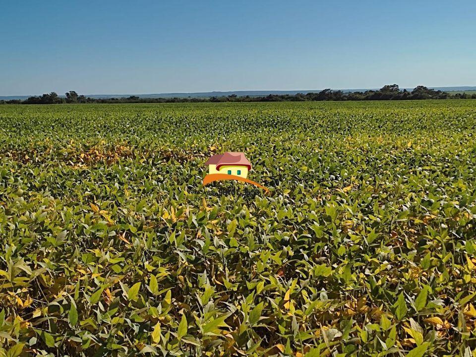 Fazenda, 1 m² - Foto 13