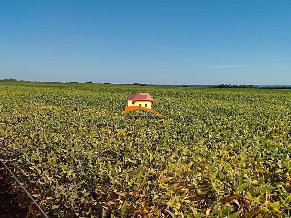 Fazenda, 1 m² - Foto 37