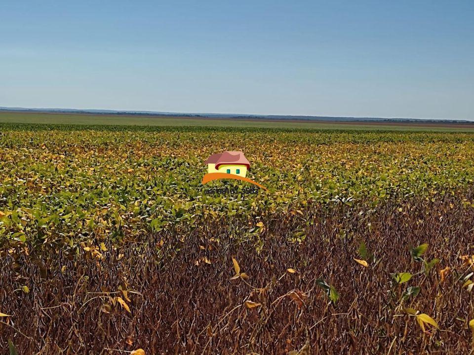 Fazenda, 1 m² - Foto 14