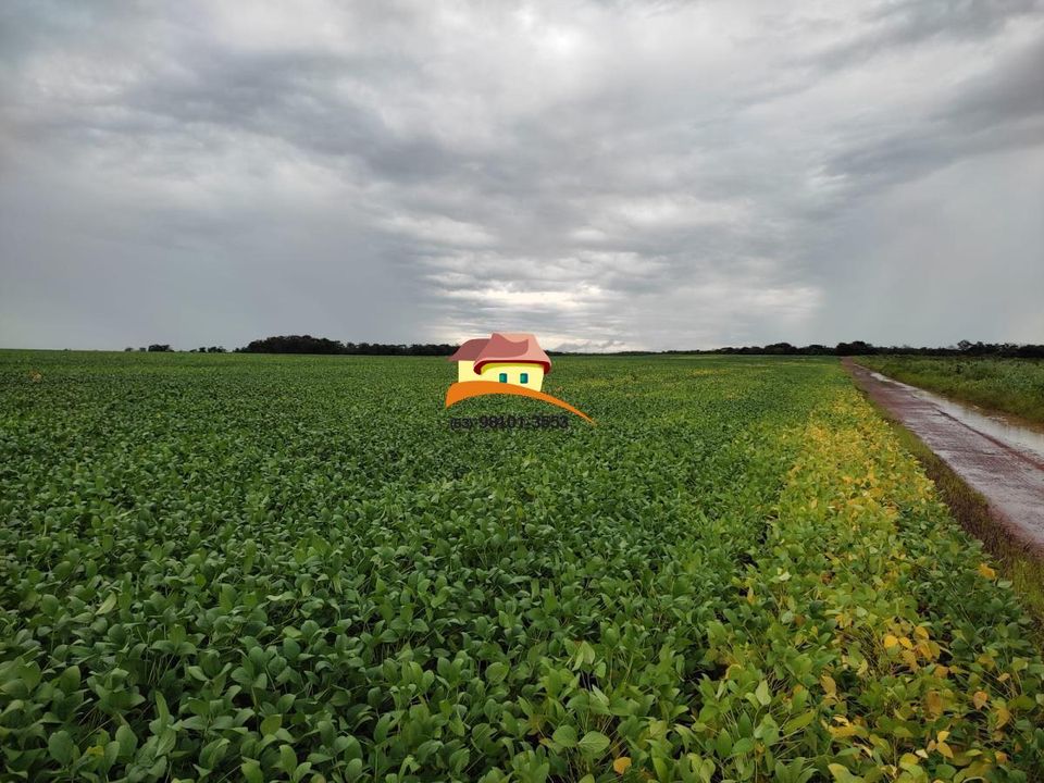 Fazenda, 1 m² - Foto 15