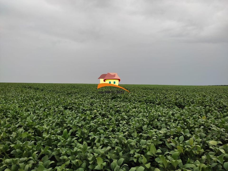 Fazenda, 1 m² - Foto 16