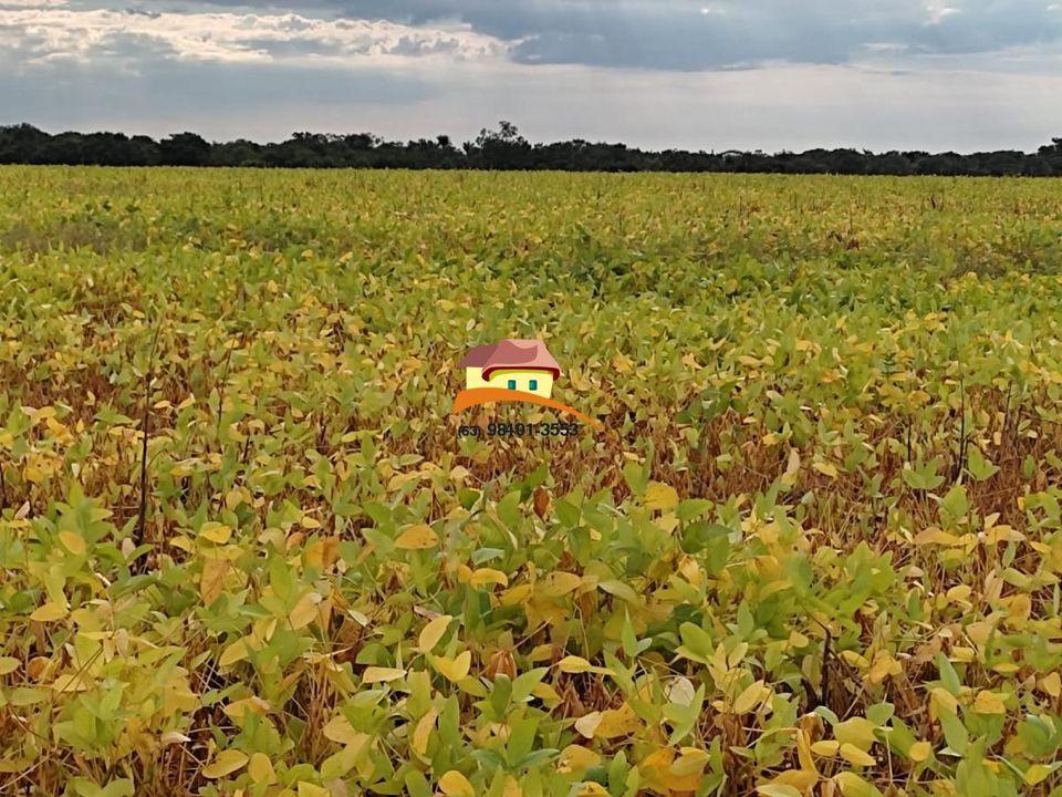 Fazenda, 1 m² - Foto 28