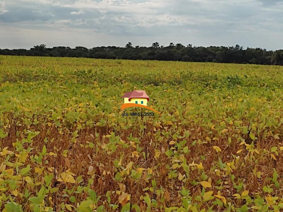 Fazenda, 1 m² - Foto 20