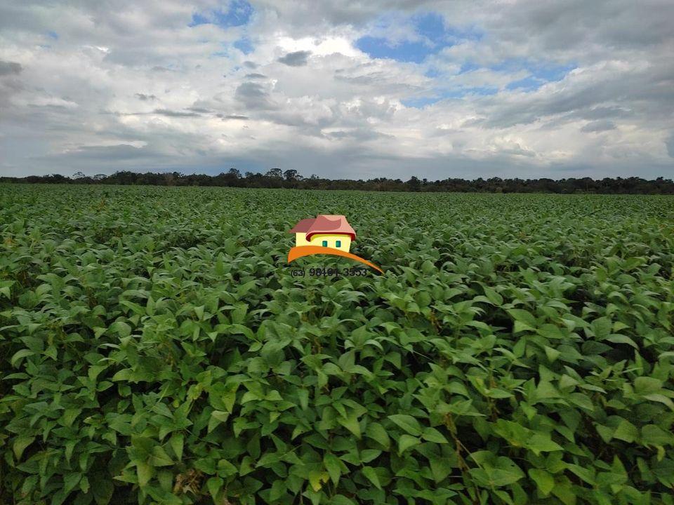 Fazenda, 1 m² - Foto 21