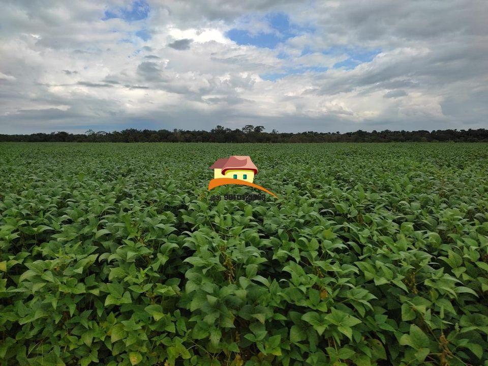 Fazenda, 1 m² - Foto 22