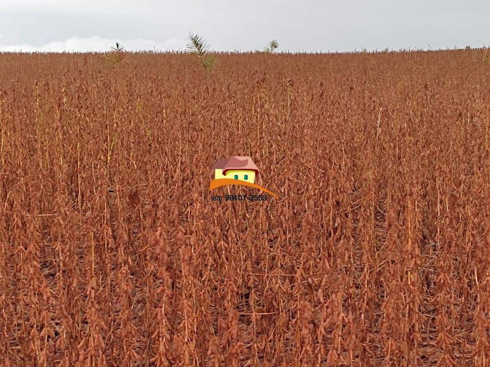 Fazenda, 1 m² - Foto 25