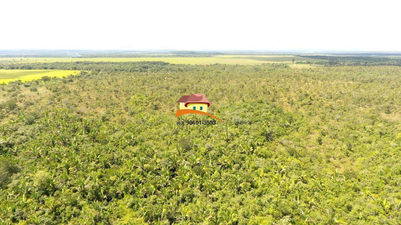 Fazenda, 387 hectares - Foto 4