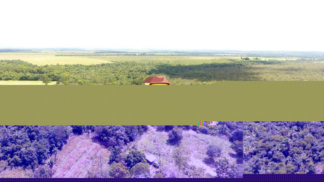 Fazenda, 387 hectares - Foto 6
