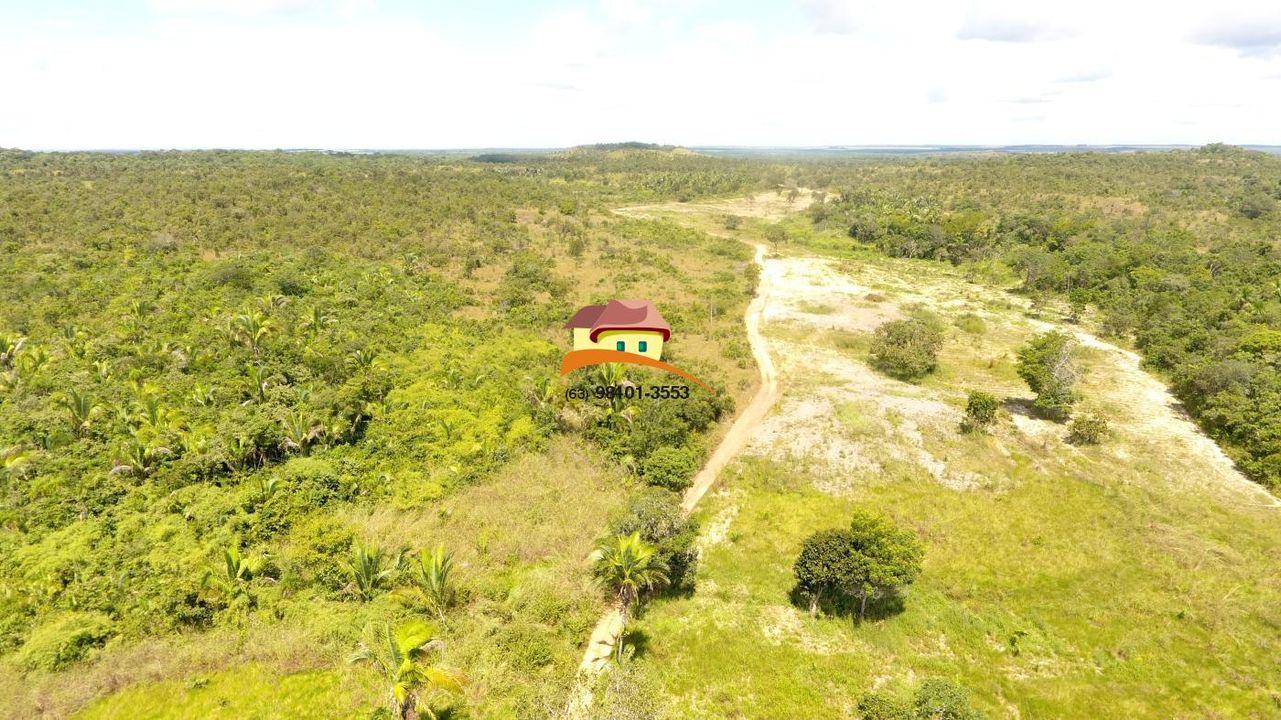 Fazenda, 387 hectares - Foto 11