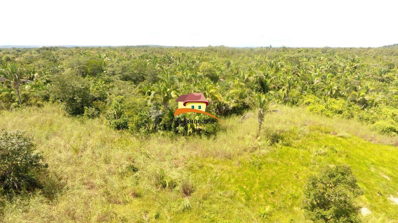 Fazenda, 387 hectares - Foto 12