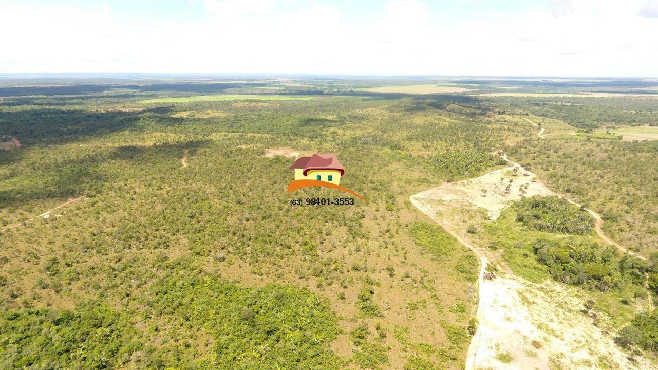 Fazenda, 387 hectares - Foto 16