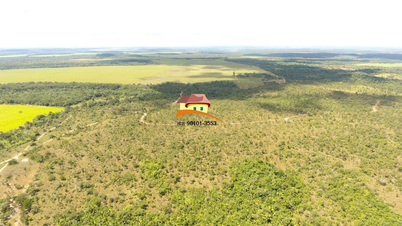 Fazenda, 387 hectares - Foto 17