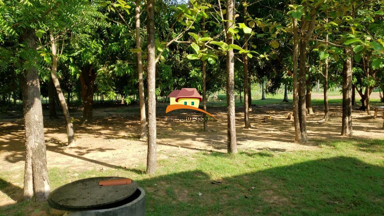 Fazenda, 1 m² - Foto 52