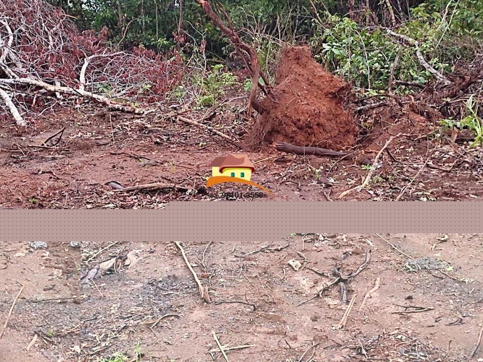 Fazenda, 1 m² - Foto 2