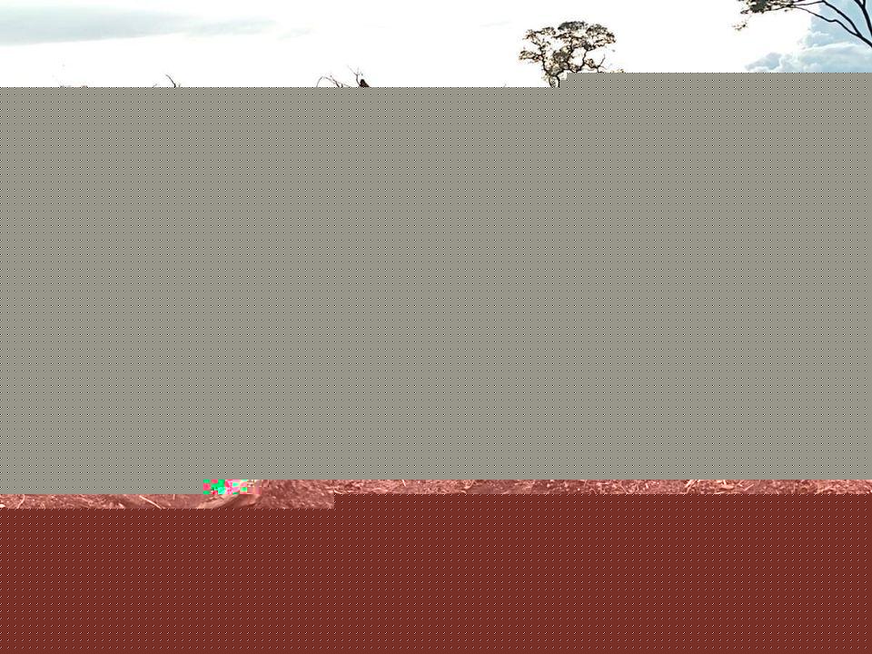 Fazenda, 1 m² - Foto 5