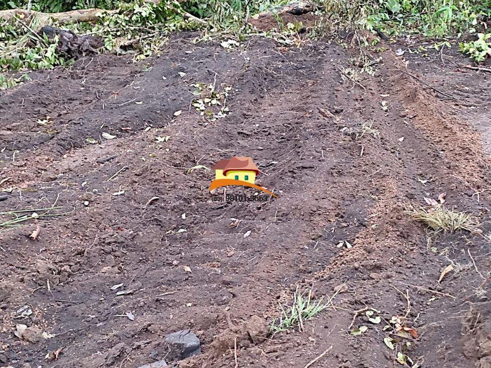 Fazenda, 1 m² - Foto 10