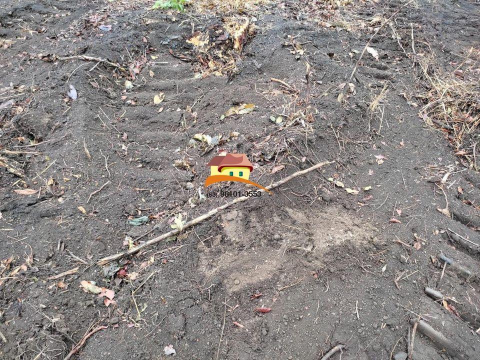 Fazenda, 1 m² - Foto 14