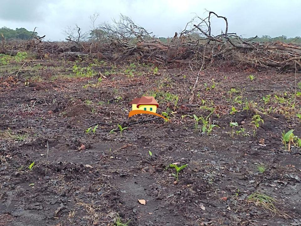 Fazenda, 1 m² - Foto 15